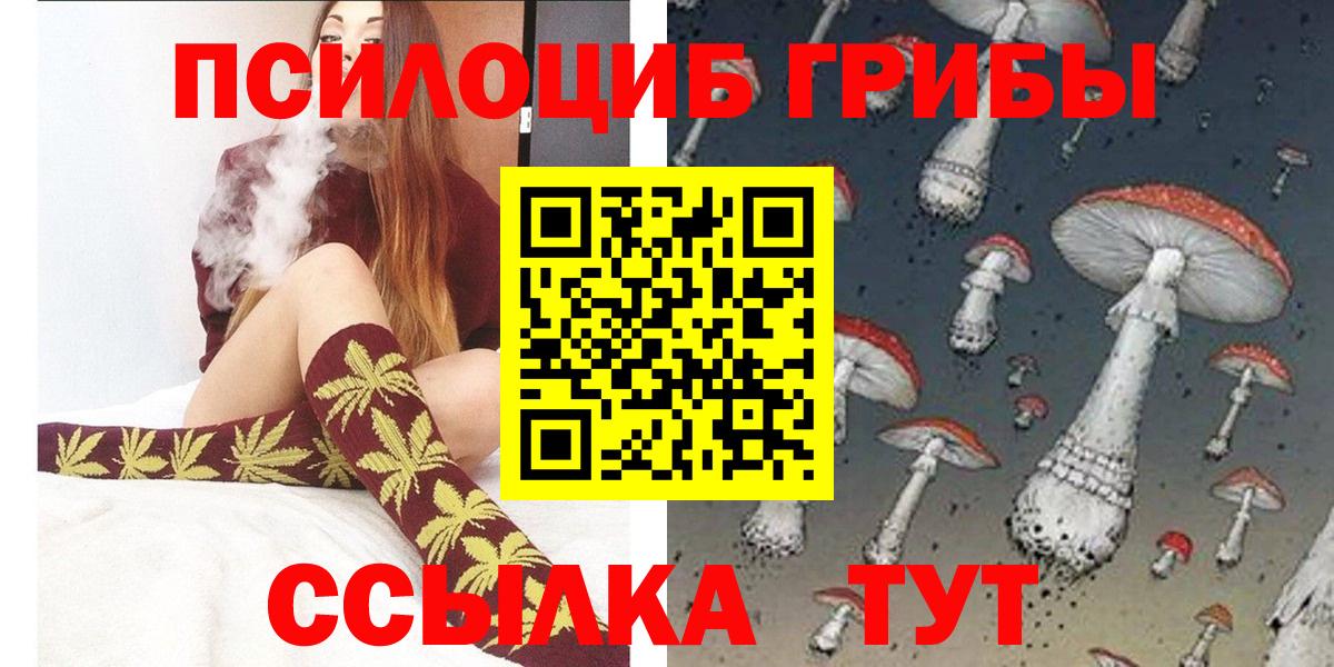 Псилоцибиновые грибы GOLDEN TEACHER Сухой Лог