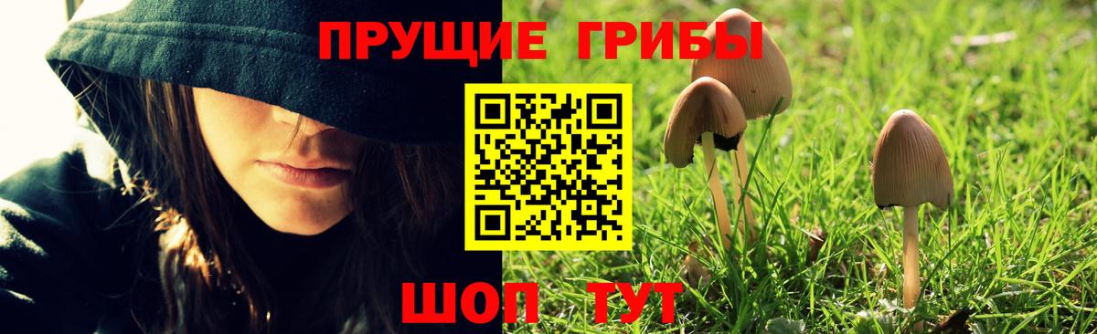 Сухой Лог  Псилоцибиновые грибы прущие грибы  Вход с VPN  Галлюциногенные грибы мицелий 